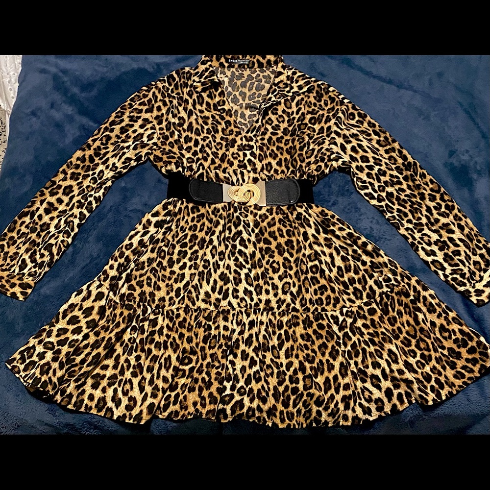 Beautiful flowy Cheetah long sleeve dress.